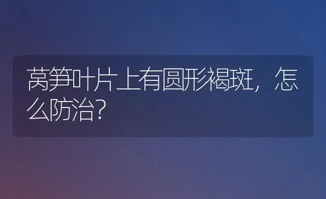 莴笋叶片上有圆形褐斑,怎么防治? | 养殖技术大全