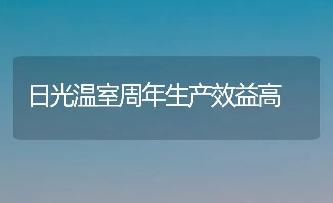 日光温室周年生产效益高 | 养殖技术大全