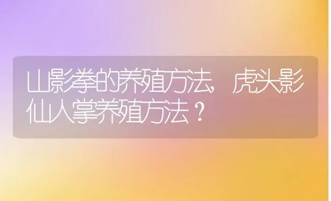 山影拳的养殖方法,虎头影仙人掌养殖方法？ | 养殖科普