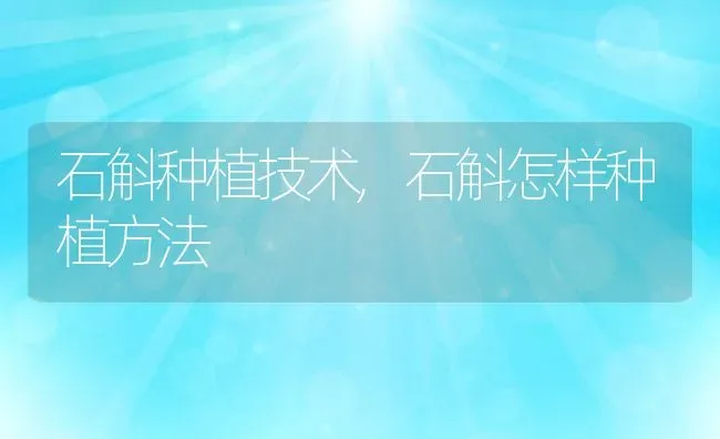 石斛种植技术,石斛怎样种植方法 | 养殖学堂