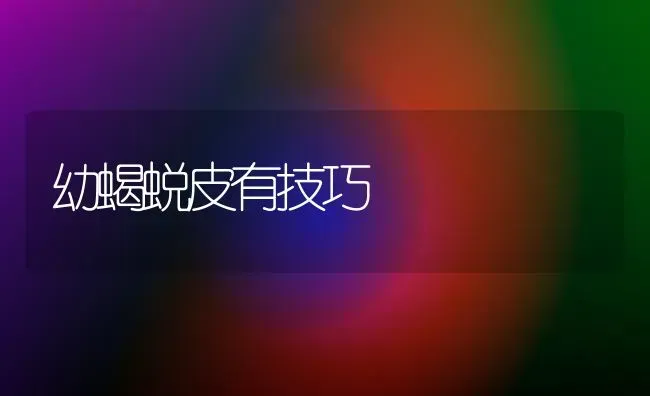 幼蝎蜕皮有技巧 | 养殖技术大全