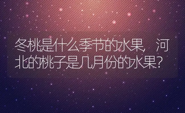 冬桃是什么季节的水果,河北的桃子是几月份的水果？ | 养殖科普