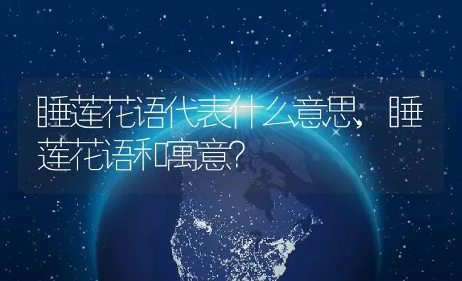 睡莲花语代表什么意思,睡莲花语和寓意？ | 养殖科普