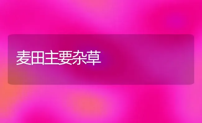 麦田主要杂草 | 养殖技术大全