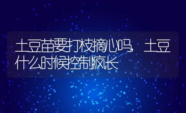 土豆苗要打枝摘心吗,土豆什么时候控制疯长 | 养殖学堂