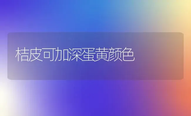 桔皮可加深蛋黄颜色 | 养殖知识