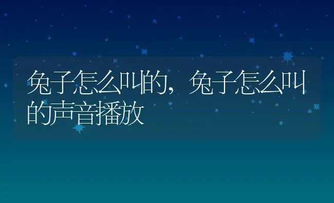 兔子怎么叫的,兔子怎么叫的声音播放 | 养殖科普