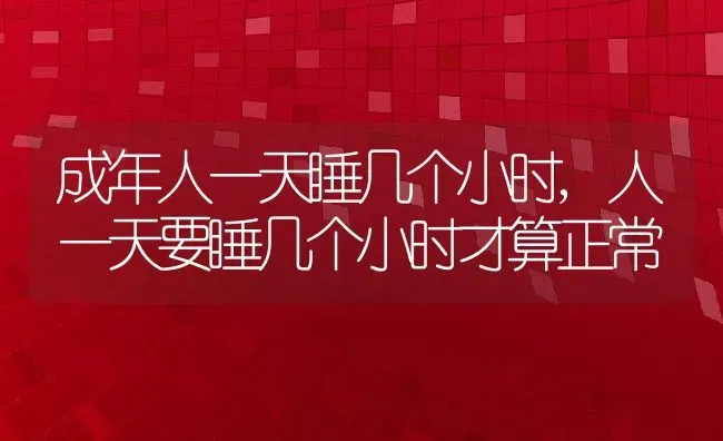 成年人一天睡几个小时,人一天要睡几个小时才算正常 | 养殖资料