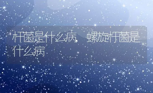 杆菌是什么病,螺旋杆菌是什么病 | 养殖资料