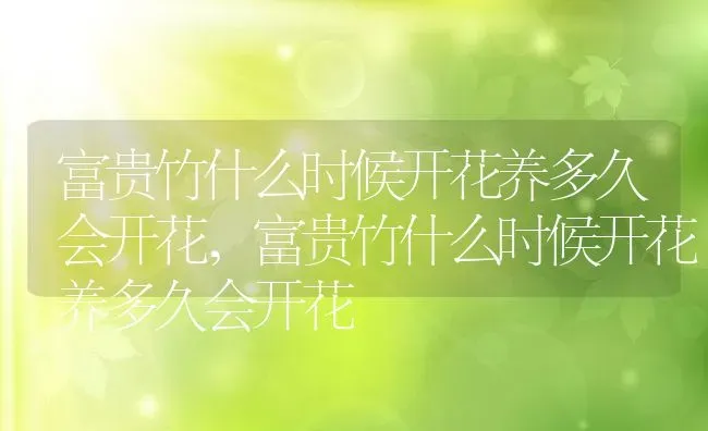 向日葵生长的六个阶段,向日葵生长的六个阶段 | 养殖科普