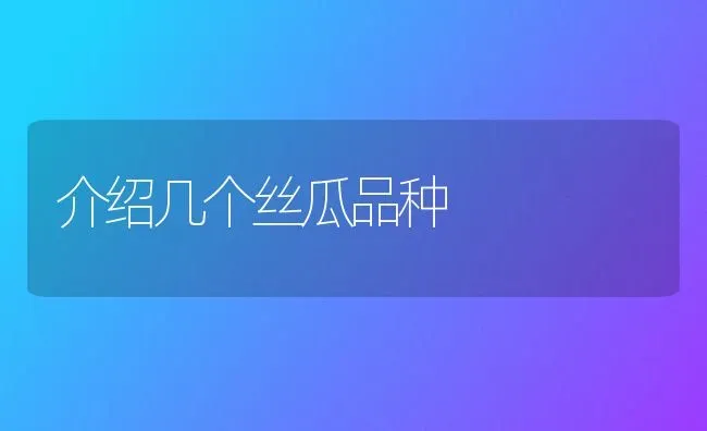 介绍几个丝瓜品种 | 养殖技术大全