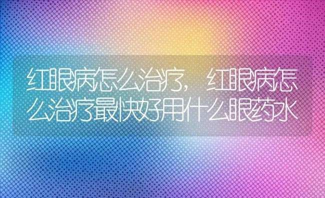 红眼病怎么治疗,红眼病怎么治疗最快好用什么眼药水 | 养殖科普