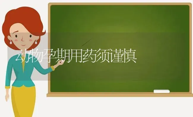 动物孕期用药须谨慎 | 养殖技术大全