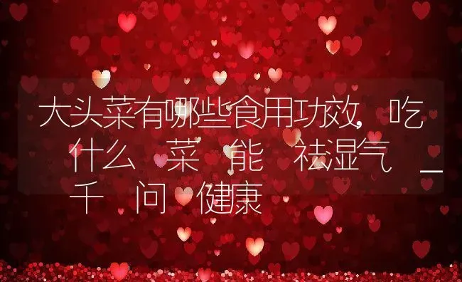 大头菜有哪些食用功效,吃 什么 菜 能 祛湿气 _ 千 问 健康 | 养殖学堂