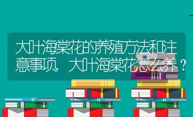 大叶海棠花的养殖方法和注意事项,大叶海棠花怎么养？ | 养殖科普