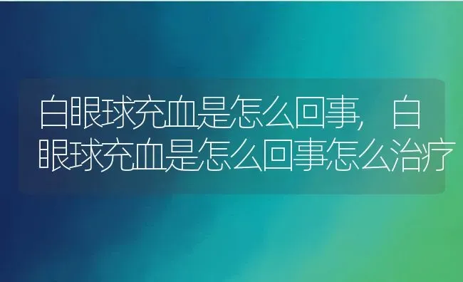 白眼球充血是怎么回事,白眼球充血是怎么回事怎么治疗 | 养殖科普