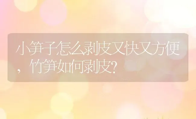 小笋子怎么剥皮又快又方便,竹笋如何剥皮？ | 养殖科普
