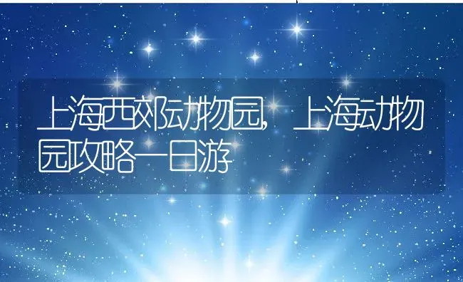 上海西郊动物园,上海动物园攻略一日游 | 养殖科普
