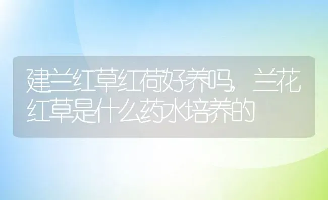 建兰红草红荷好养吗,兰花红草是什么药水培养的 | 养殖学堂