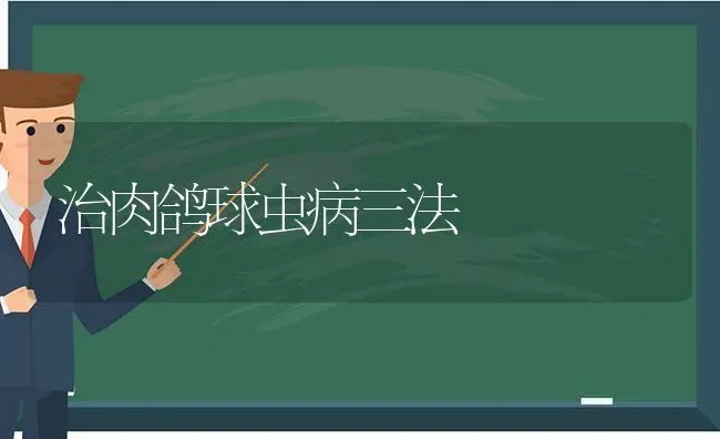 治肉鸽球虫病三法 | 养殖技术大全