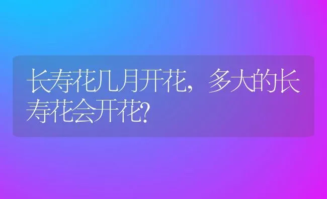 怎么看乌龟公母,珍珠龟怎么看乌龟公母 | 养殖科普