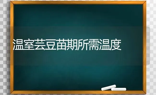 温室芸豆苗期所需温度 | 养殖技术大全