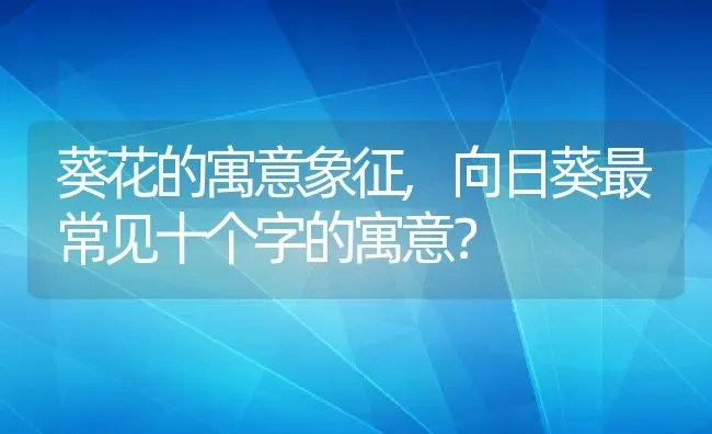 葵花的寓意象征,向日葵最常见十个字的寓意？ | 养殖科普