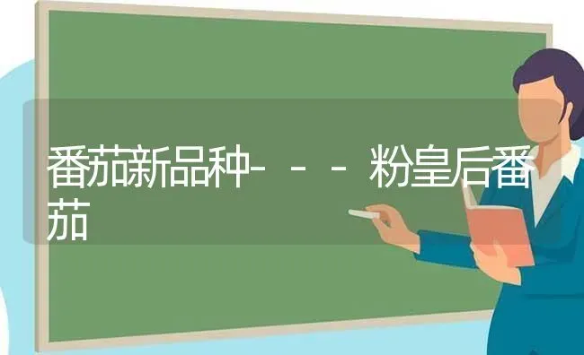 番茄新品种---粉皇后番茄 | 养殖技术大全