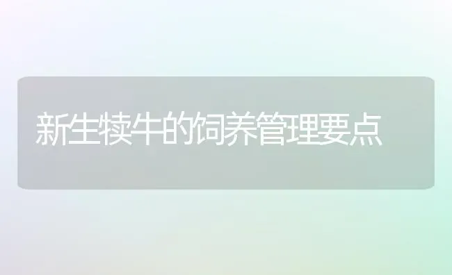 新生犊牛的饲养管理要点 | 养殖知识