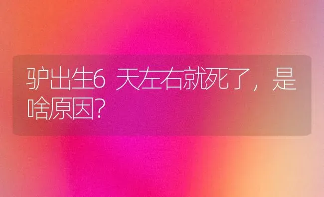 驴出生6天左右就死了,是啥原因? | 养殖技术大全