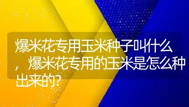 爆米花专用玉米种子叫什么,爆米花专用的玉米是怎么种出来的？ | 养殖科普