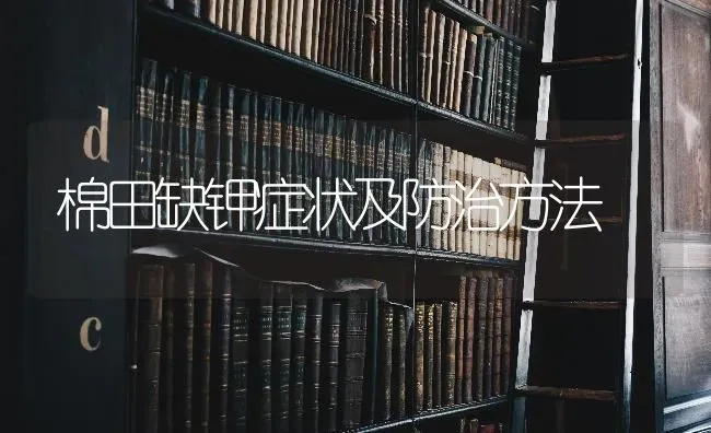 棉田缺钾症状及防治方法 | 养殖知识