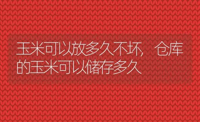 玉米可以放多久不坏,仓库的玉米可以储存多久 | 养殖学堂