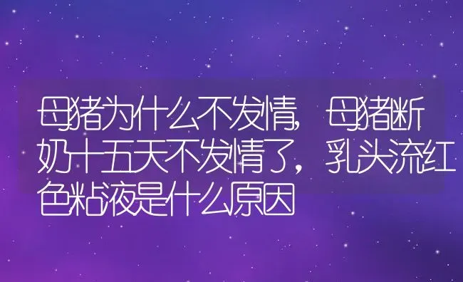 母猪为什么不发情,母猪断奶十五天不发情了，乳头流红色粘液是什么原因 | 养殖学堂