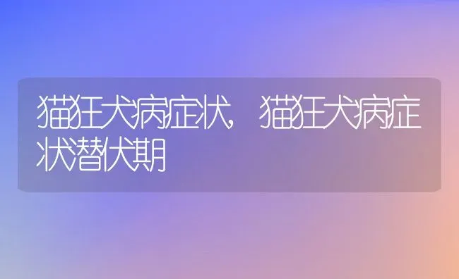 猫狂犬病症状,猫狂犬病症状潜伏期 | 养殖资料