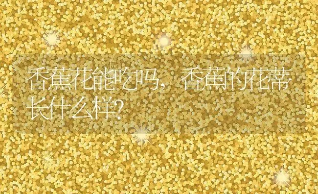 香蕉花能吃吗,香蕉的花蒂长什么样？ | 养殖科普