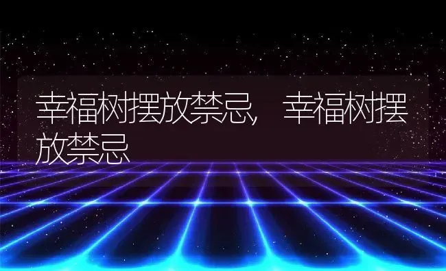 幸福树摆放禁忌,幸福树摆放禁忌 | 养殖科普