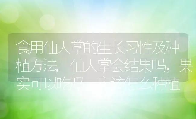 食用仙人掌的生长习性及种植方法,仙人掌会结果吗，果实可以吃吗，应该怎么种植 | 养殖学堂