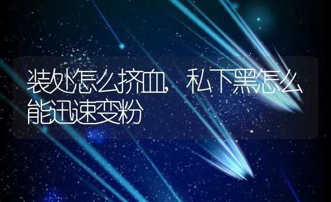 装处怎么挤血,私下黑怎么能迅速变粉 | 养殖科普