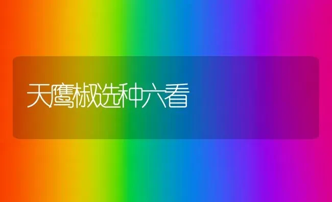 天鹰椒选种六看 | 养殖技术大全