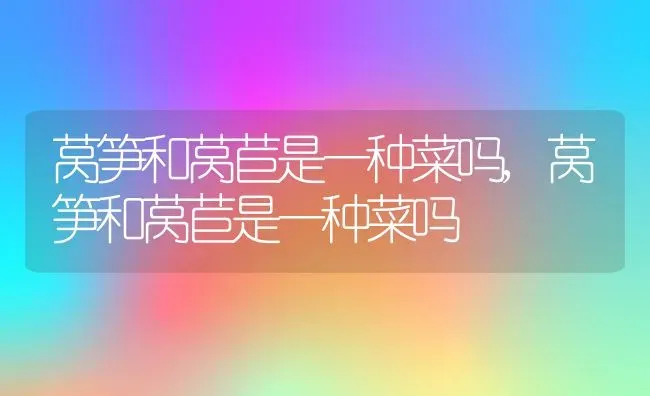 狗长癣用什么药,狗长癣用什么药膏管用 | 养殖科普