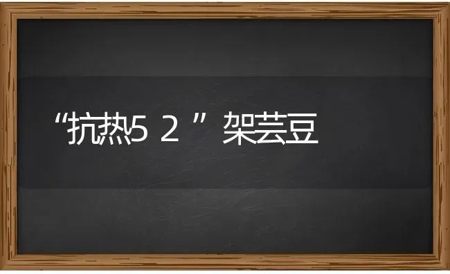 “抗热52”架芸豆 | 养殖技术大全