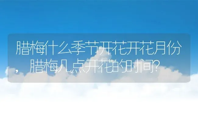 腊梅什么季节开花开花月份,腊梅几点开花的时间？ | 养殖科普