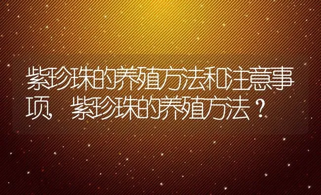 紫珍珠的养殖方法和注意事项,紫珍珠的养殖方法？ | 养殖科普