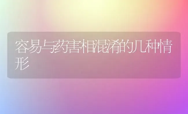 容易与药害相混淆的几种情形 | 养殖知识