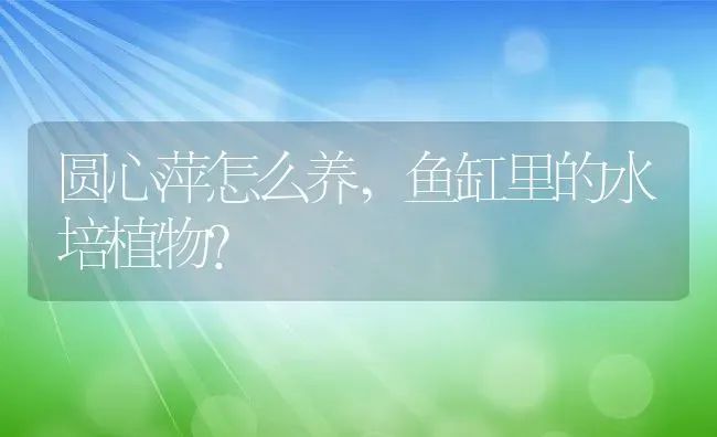 紫玉兰的养护方法,玉兰花盆栽养殖方法？ | 养殖科普