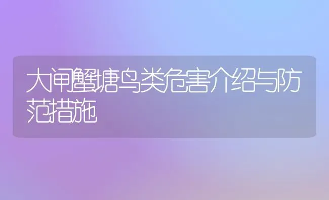 大闸蟹塘鸟类危害介绍与防范措施 | 养殖知识