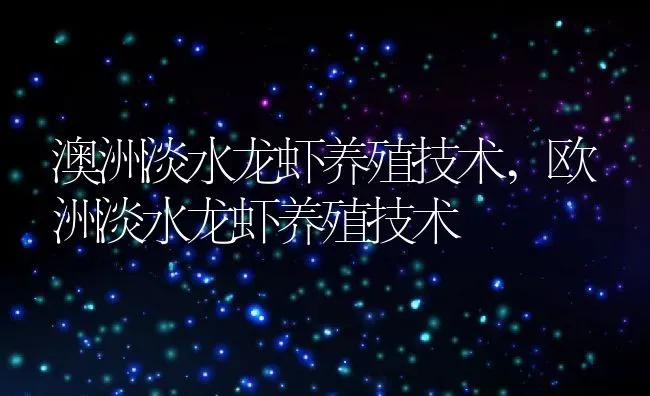澳洲淡水龙虾养殖技术,欧洲淡水龙虾养殖技术 | 养殖学堂