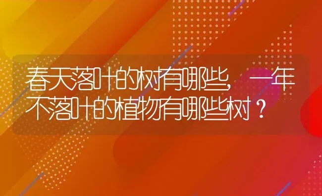 春天落叶的树有哪些,一年不落叶的植物有哪些树？ | 养殖科普