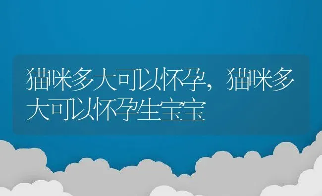 猫咪多大可以怀孕,猫咪多大可以怀孕生宝宝 | 养殖资料